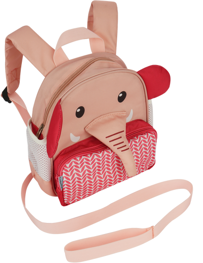 Mochila y Arnes
