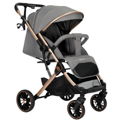 Coche Para Bebé Viajero Con Barra Reversible